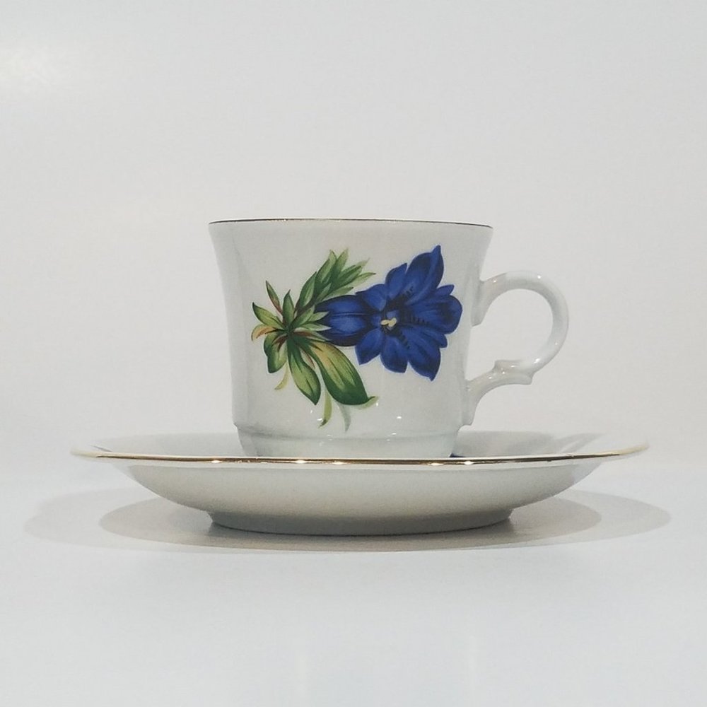 Jaeger Bavaria Tea cup